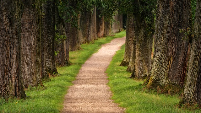 Vandreture i Midtjylland for nybegyndere