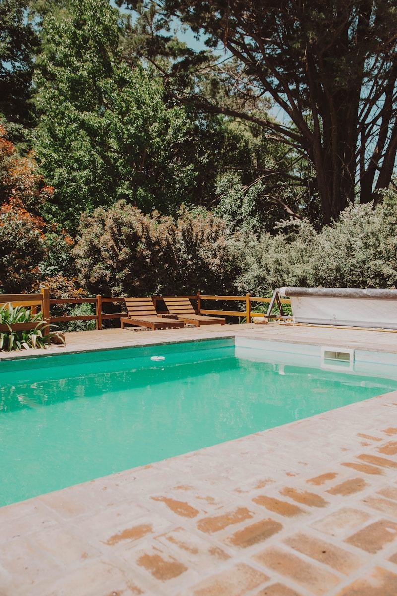 green trees beside swimming pool during daytime